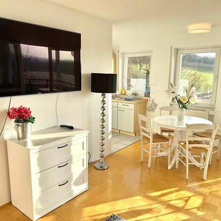 Panorama Domizil Ravensburg Mit Alpenblick Balkon Apartman Kültér fotó