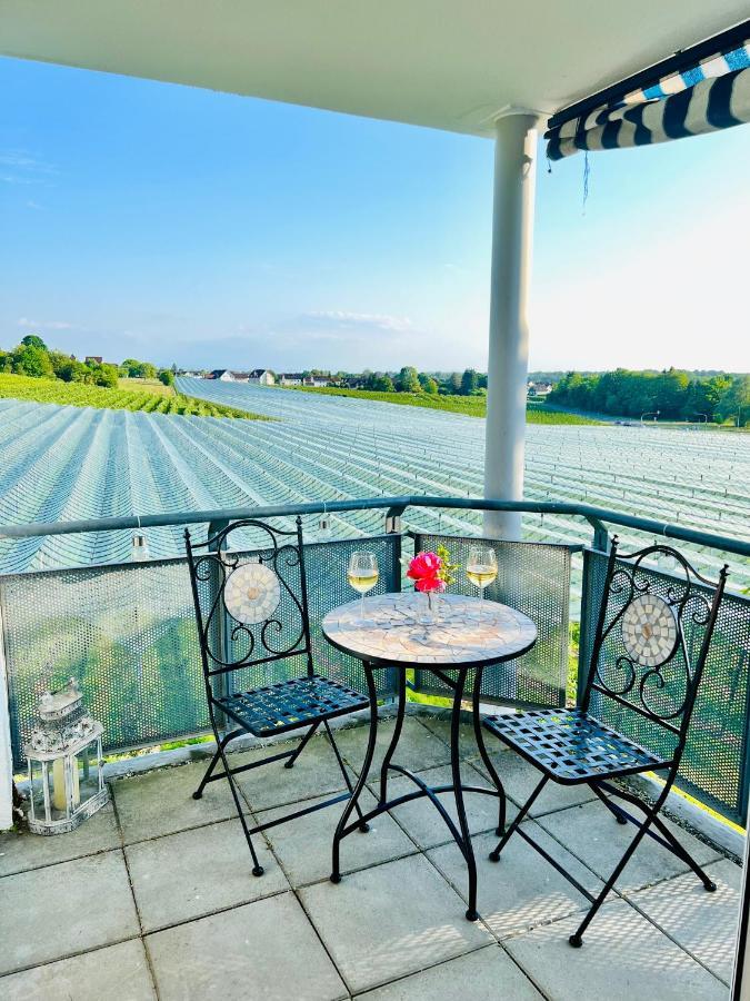 Panorama Domizil Ravensburg Mit Alpenblick Balkon Apartman Kültér fotó
